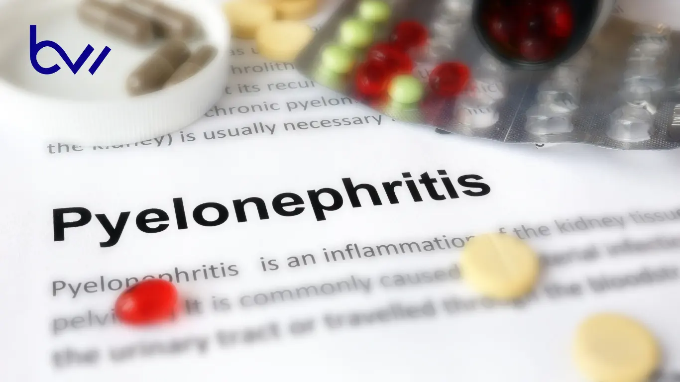 Causes Of Pyelonephritis