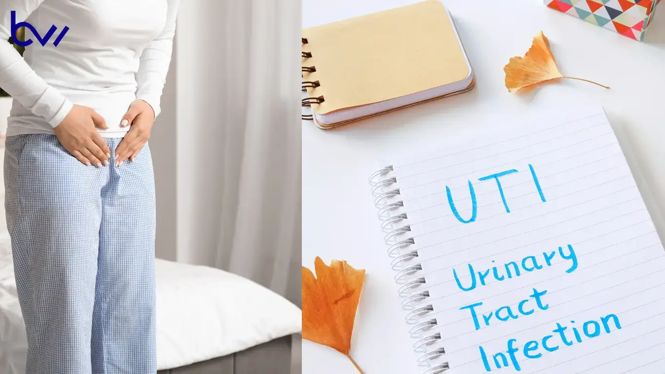 Difference between bladder infection and UTI