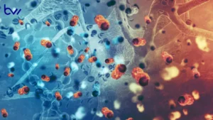 Is BI-RADS 4 Always Cancer