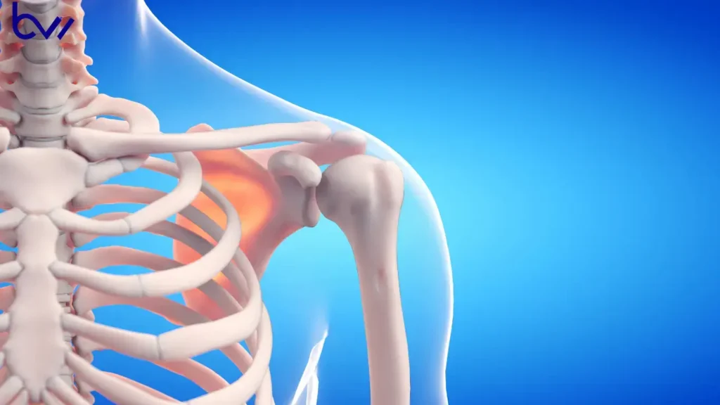 Why Only Males Can Donate Bone Marrow | Full Guide