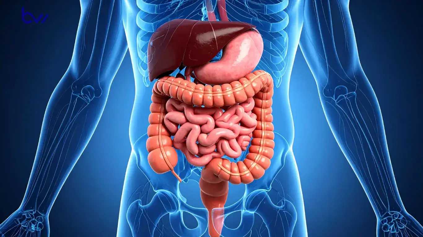 Can hemorrhoids cause constipation and gas